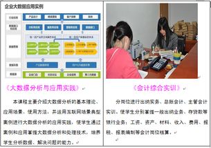 會計(jì)學(xué)院專業(yè)設(shè)置 會計(jì)信息管理與軟件開發(fā)融合發(fā)展探析——以湖南商務(wù)職業(yè)技術(shù)學(xué)院為例