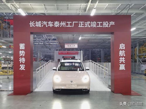 又萌又美,才是合格的好貓